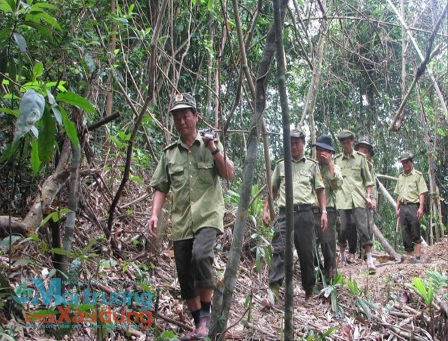 Thừa Thiên Huế: Chi trả tiền giảm phát thải khí nhà kính cho hơn 800 chủ rừng 